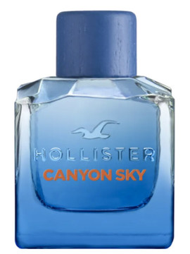 Hollister - Canyon Sky