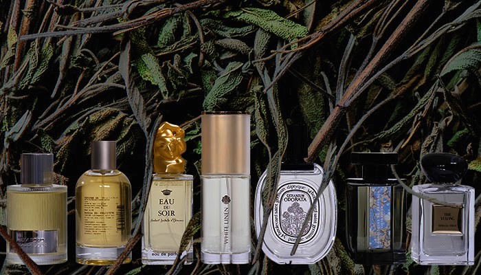 Стоит ли носить горькие ароматы? Топ-7 ароматов на осень