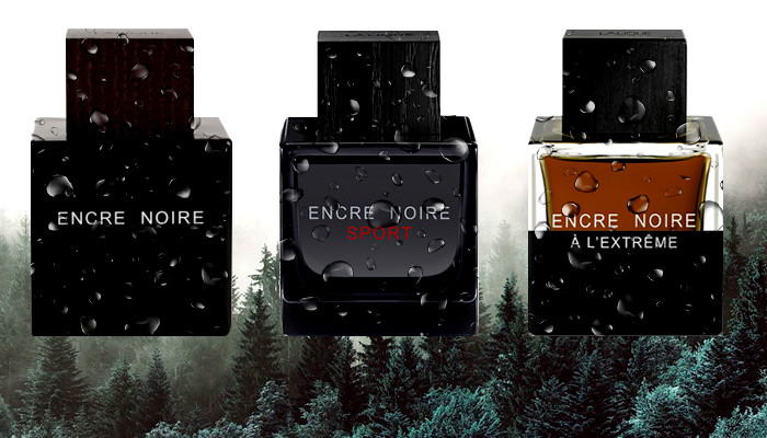 Мужская парфюмерия Lalique Encre Noire. Обзор и сравнение ароматов