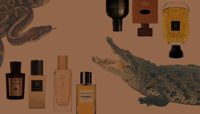 Кожаные мужские ароматы. Подборка мужской парфюмерии с ароматом кожи