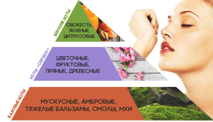 Что такое пирамида аромата?