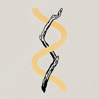 Tree Of Life Tree Of Life