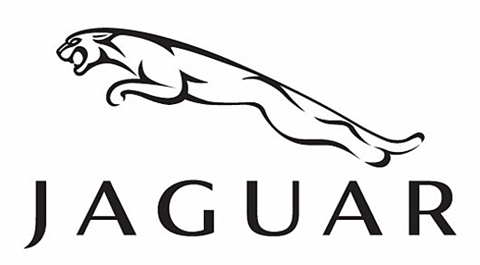 Jaguar Jaguar