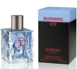 Отзывы на Iceberg - Burning Ice