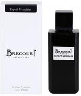 Мужская парфюмерия Brecourt Esprit Mondain Мужская парфюмерия Brecourt Esprit Mondain