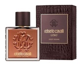 Мужская парфюмерия Roberto Cavalli Deep Desire Мужская парфюмерия Roberto Cavalli Deep Desire