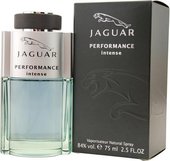 Мужская парфюмерия Jaguar Performance Intense Мужская парфюмерия Jaguar Performance Intense