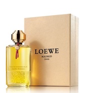Купить Loewe Tras La Tormenta En El Jardin Botanico Купить Loewe Tras La Tormenta En El Jardin Botanico