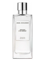 Купить Angel Schlesser Tempting Bergamot