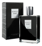 Мужская парфюмерия Geparlys Perfect Silver