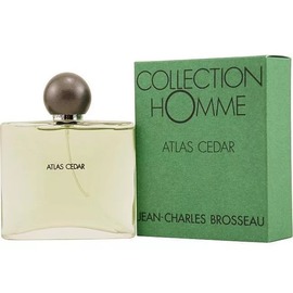 Jean Charles Brosseau - Atlas Cedar