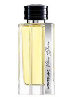 Мужская парфюмерия Mont Blanc Vetiver Glacier