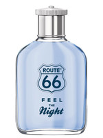 Мужская парфюмерия Route 66 Feel The Night