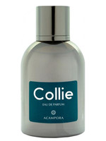 Купить Bruno Acampora Collie Eau De Parfum