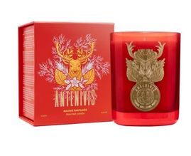 Pierre Guillaume - Antenivis