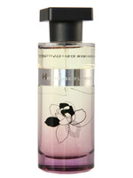 Купить Ineke Hothouse Flower