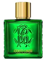 Uomo Verde Assoluto