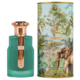 Paris Corner - Lueur D'Espoir Serene Grove