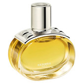 Купить Hermes Barenia Pleine Fleur
