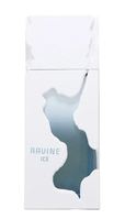 Ravine Ice