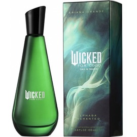 Ariana Grande - Wicked For Good – Elphaba Enchanted